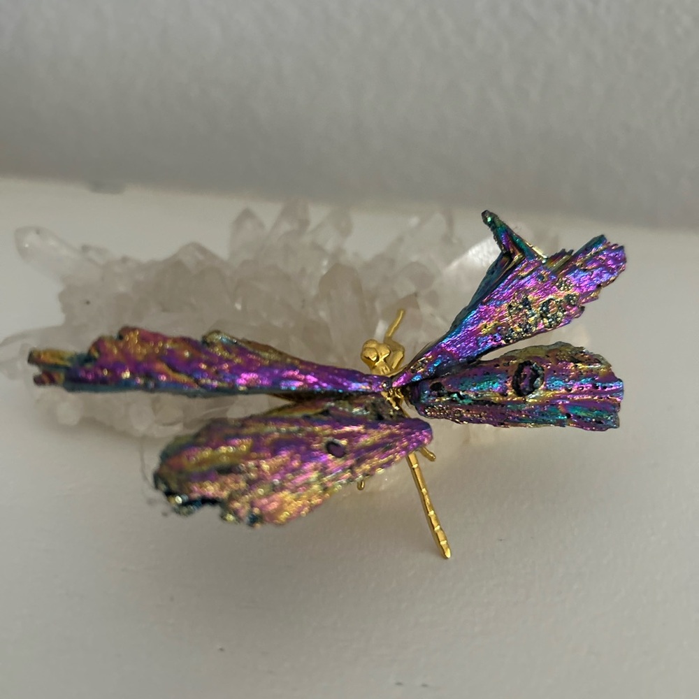 Iridescent Dragonfly Brooch